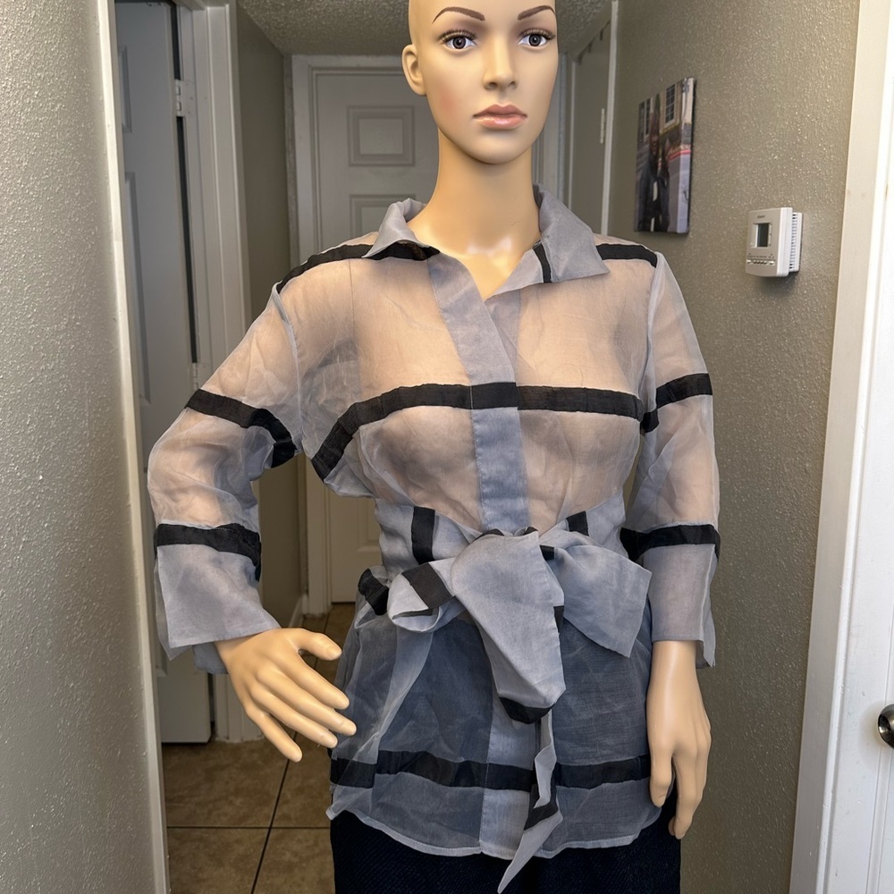 Jarbo belted organza blouse silver stripe Sz 1 NWT Retail: $ 438 - Picture 6 of 15